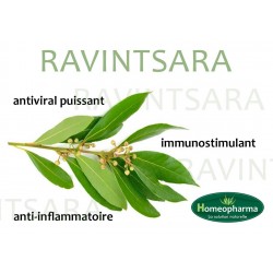 RAVINTSARA RAVINTSARA